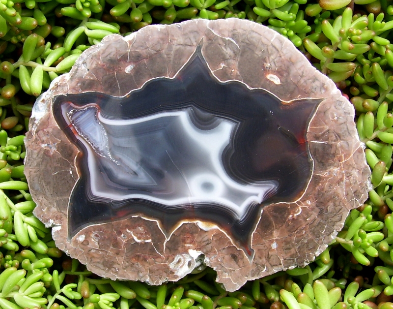 Baker Thunderegg